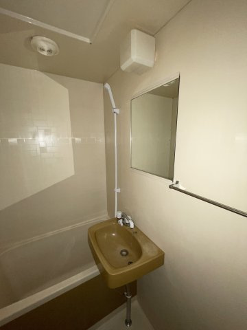 サンロイヤル諏訪の洗面所