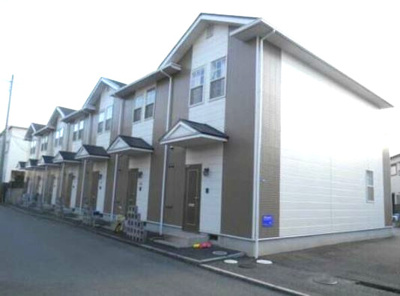 【エントランス】 | サラセニア