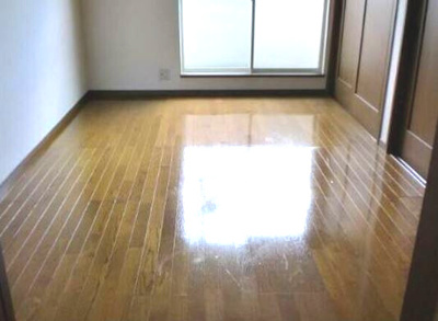 【居間・リビング】 | サラセニア