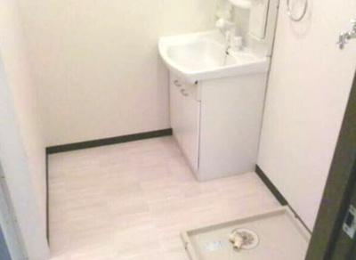 【洗面所】 | サラセニア