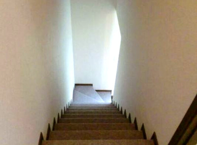 【その他】 | サラセニア | 2階から1階へ