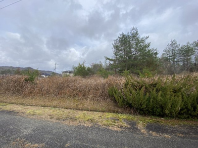 【外観】 | 京丹波町実勢坪井 売土地 | 建築条件無売土地