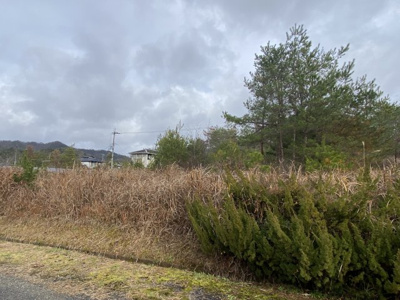 【外観】 | 京丹波町実勢坪井 売土地 | 西向き 陽当たり良好です。