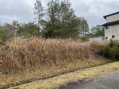 【外観】 | 京丹波町実勢坪井 売土地