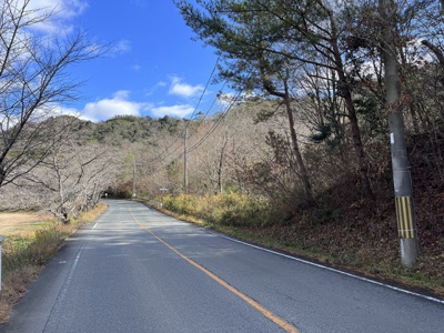 【外観】 | 多可町中区東安田　山林