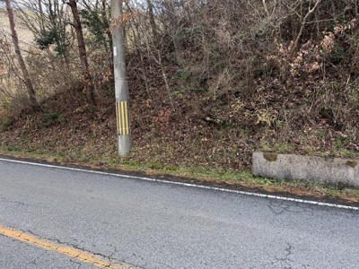 【外観】 | 多可町中区東安田　山林