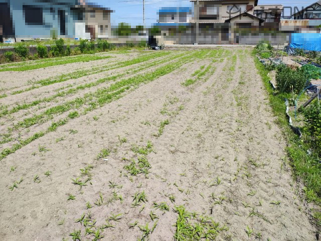 【外観】 | 姫路市網干区興浜／売土地