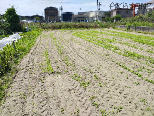 【外観】 | 姫路市網干区興浜／売土地