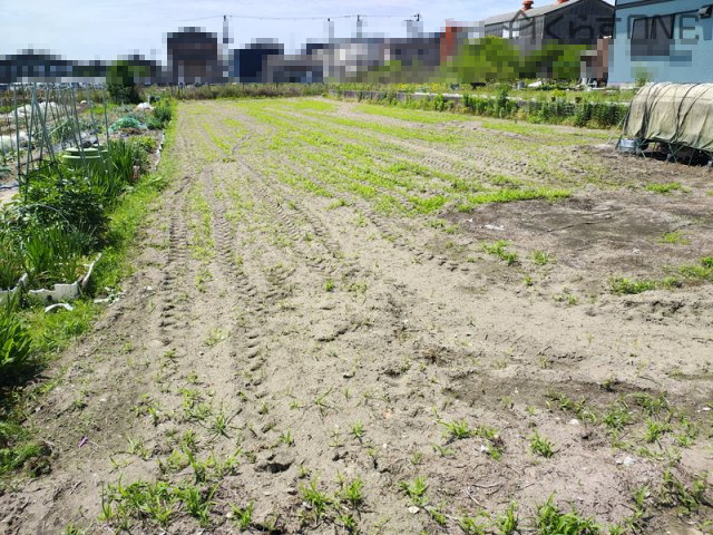 【外観】 | 姫路市網干区興浜／売土地