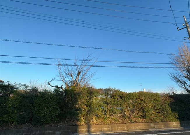 【展望】 | 桜や紅葉の名所に出かける人は多いと思いますが、家にいながら季節の移ろいを感じる生活を送りませんか？リビングや窓から見える景色が生活を彩るワンポイントに！現地から見える景色を堪能してみては如何でしょう。