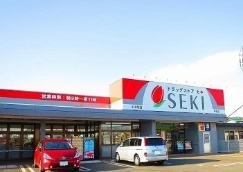 Ｆｌａｔ　Ｈｉｌｌｓ　ｅｃｏの周辺|ドラッグストアセキ今福店まで500m