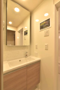 Ｄ－ＲＯＯＭ桂川の独立洗面台