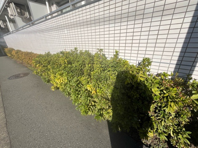 【中庭】 | スカイコート橋本第２ | 中庭（パティオ）とは、一つの建築物の内部に設けられた、壁などで囲われている庭のことを指します。コの字型、ロの字型が主流ですが、L字型の中庭もあります。最近では、インテリア性の高さからも人気があります。