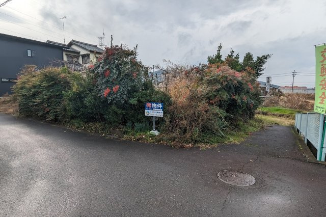 土地　高木の外観