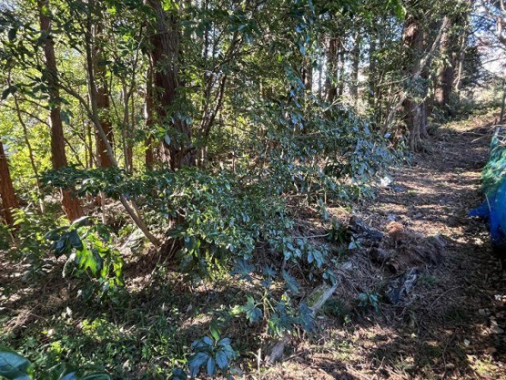 【外観】 | 大室高原別荘地　売地