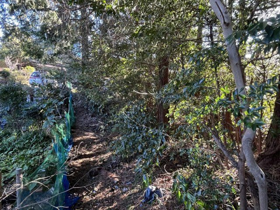 【外観】 | 大室高原別荘地　売地