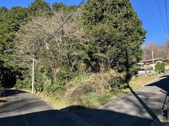 【外観】 | 大室高原別荘地　売地