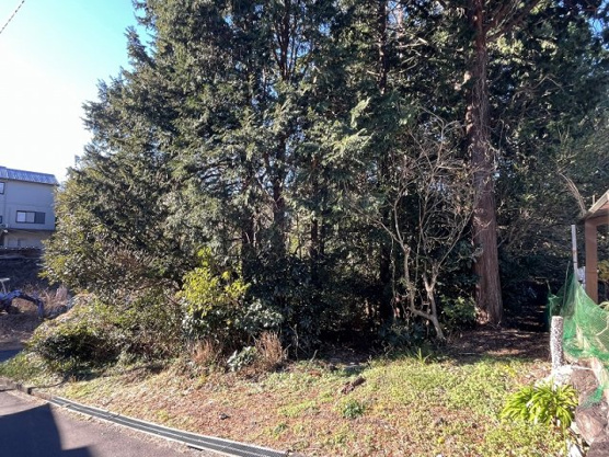 【外観】 | 大室高原別荘地　売地