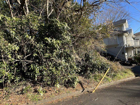 【外観】 | 大室高原別荘地　売地