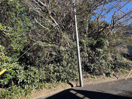 【外観】 | 大室高原別荘地　売地