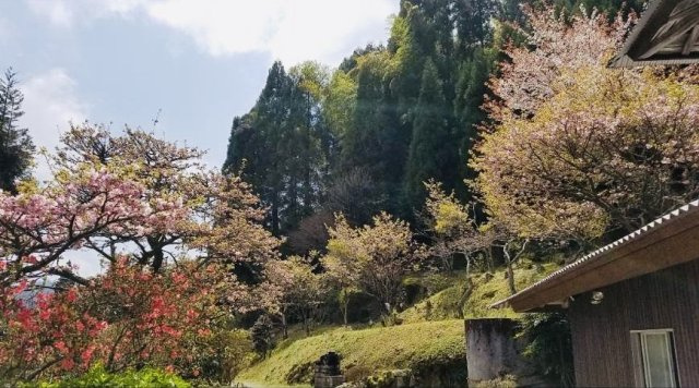 七山池原売家の庭