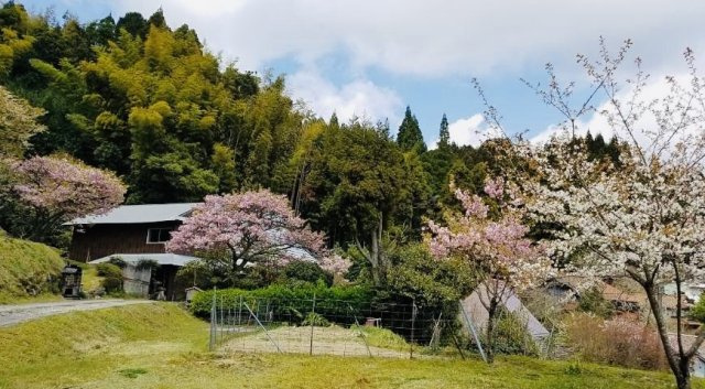 七山池原売家の庭