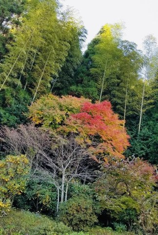 七山池原売家のその他