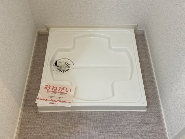 さざんかのその他
