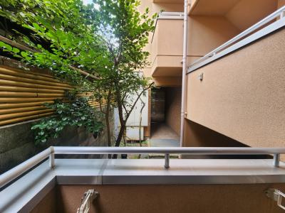 コモド嵯峨の展望|南向き眺望