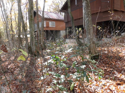 【その他】 | しなの鉄道「黒姫」 | 別荘にいかがでしょうか！？！？！