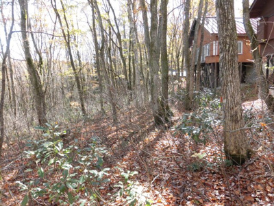 【その他】 | しなの鉄道「黒姫」 | 冬は涼しいです！