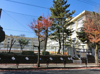 小学校