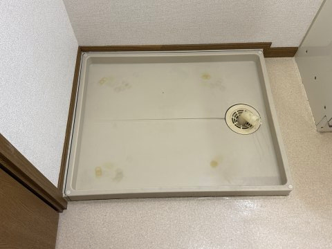 オーブリー　Ｔ・Ｙのその他