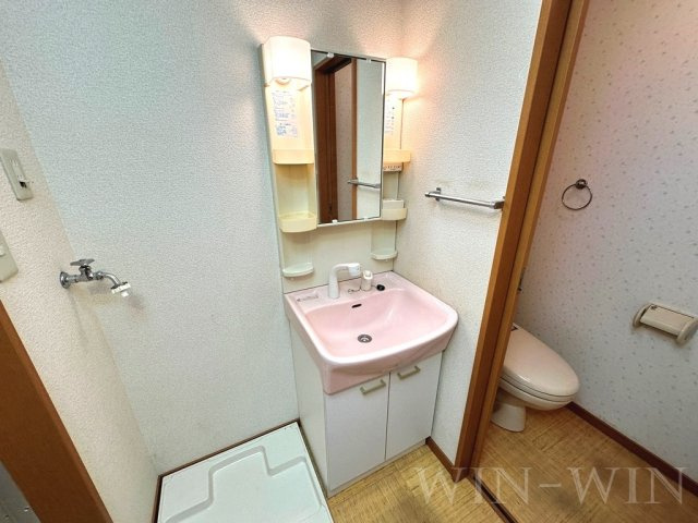 シャルマンドミールの独立洗面台