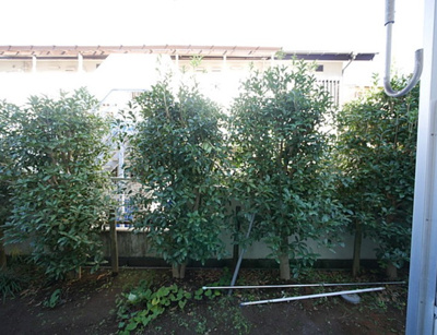 【展望】 | ベルハイツ座間