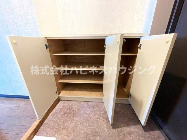 INSURANCE(インシュランス)BLDG.(ビルディング)Ⅱ(ツー)五香の玄関|同物件他部屋参考写真
