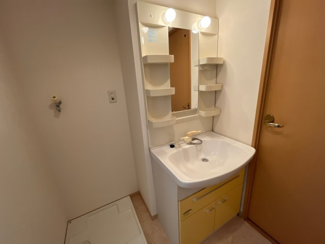 エステリオKの洗面所