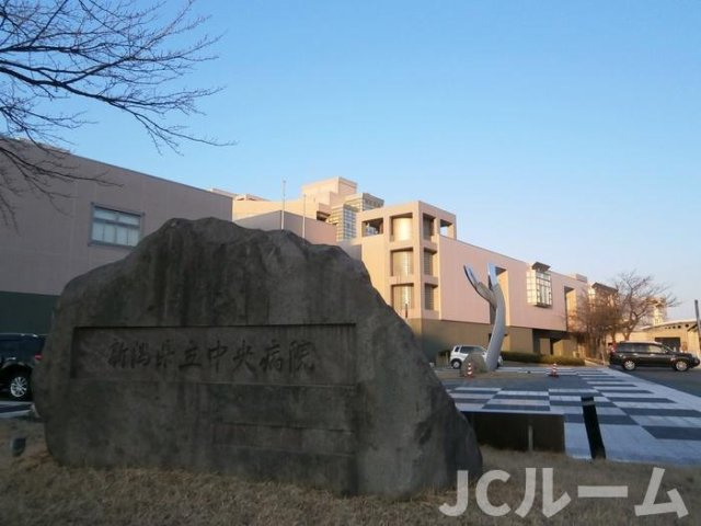 キャトル・セゾンの周辺|新潟県立中央病院まで1,460m