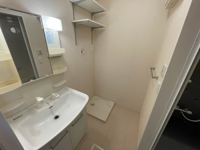 ピュアロータスⅡの洗面所