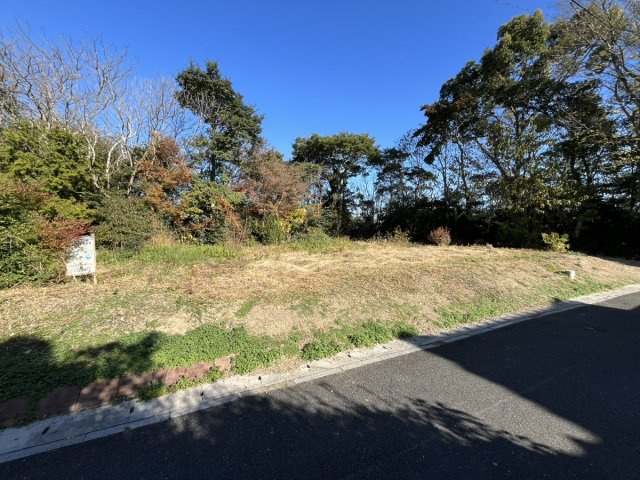  | 上新入売地