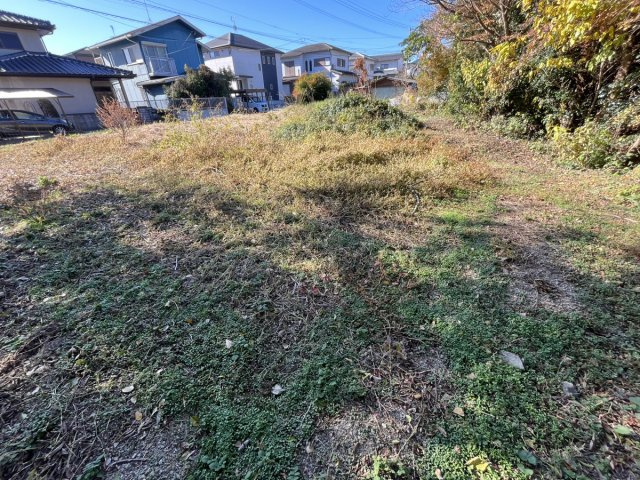  | 上新入売地