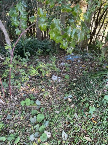 【外観】 | 上新入売地