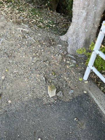 【土地図】 | 上新入売地