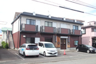 ビーライン松の木の画像