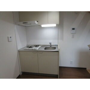 Dream Stage HT Iwakuraのキッチン