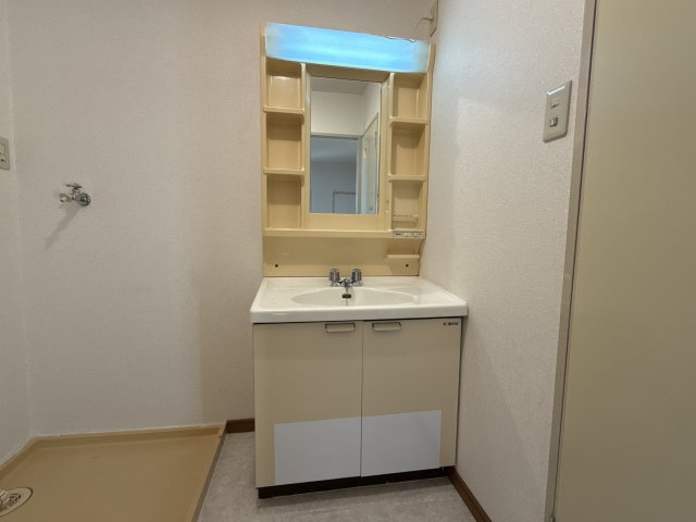 ドミール前田の洗面所