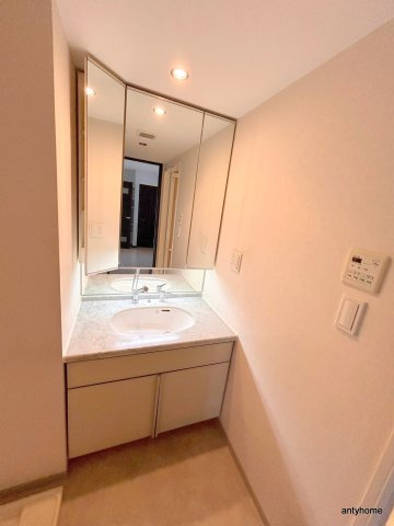 エステムコート京橋セレブ1ポーラスター　仲介手数料無料の洗面所