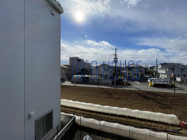 アメジストセージの展望