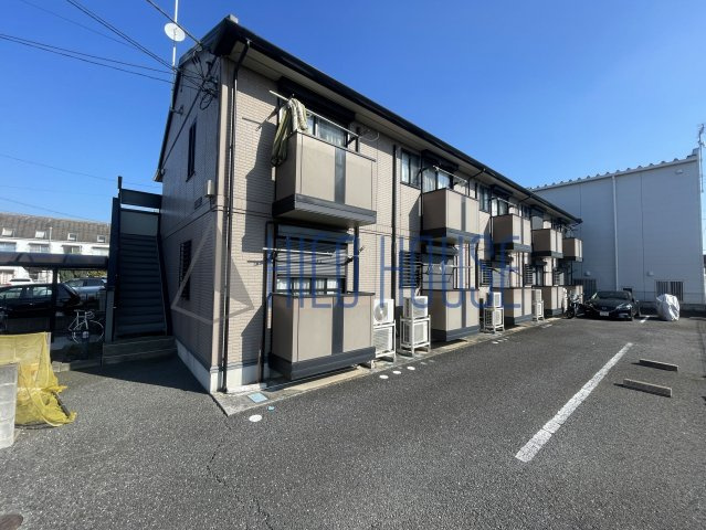 アメジストセージの外観