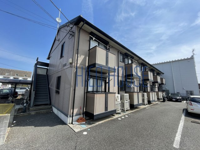 アメジストセージの外観